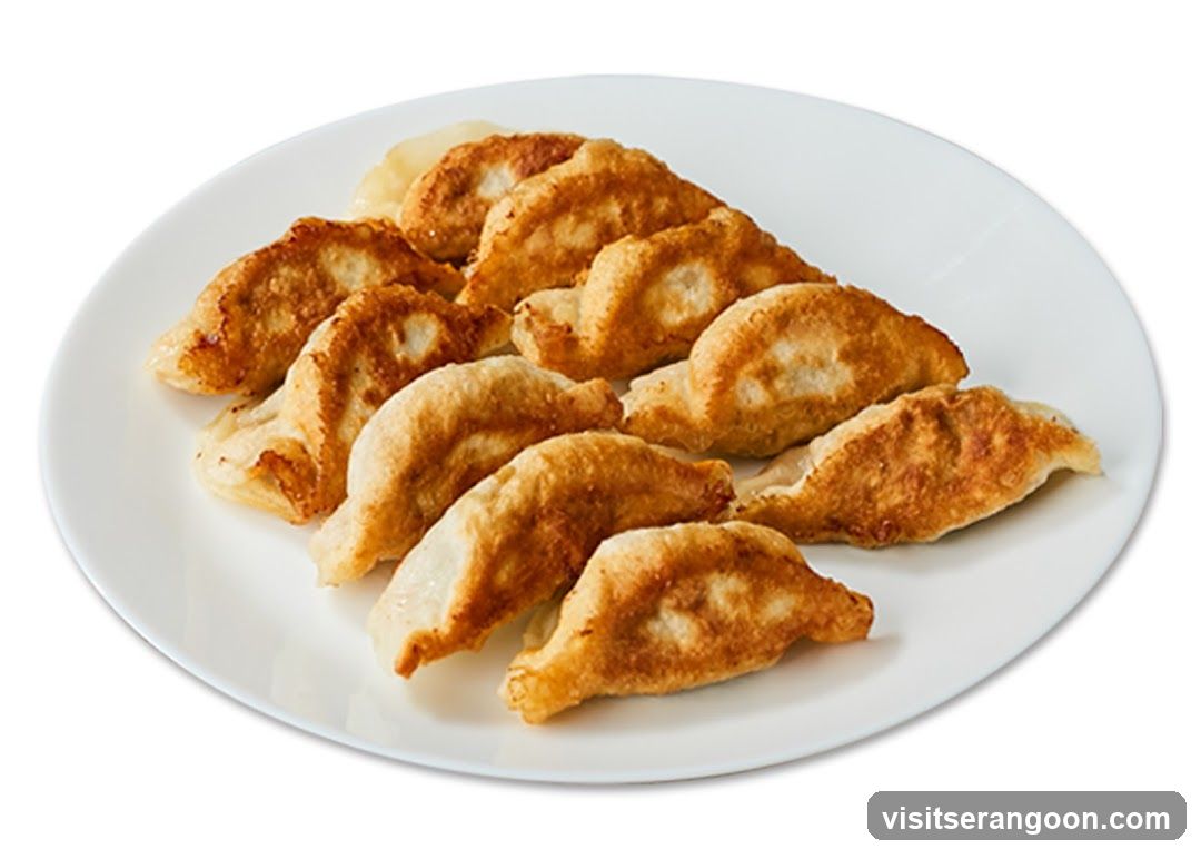 Pan-fried dumplings