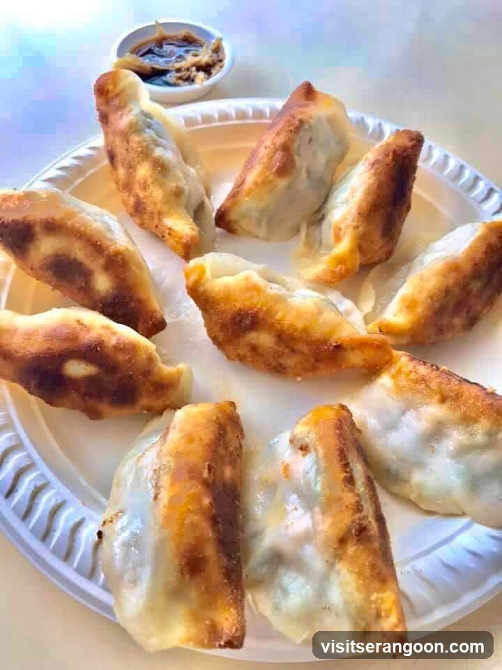 Fried Dumplings with Dipping Sauce