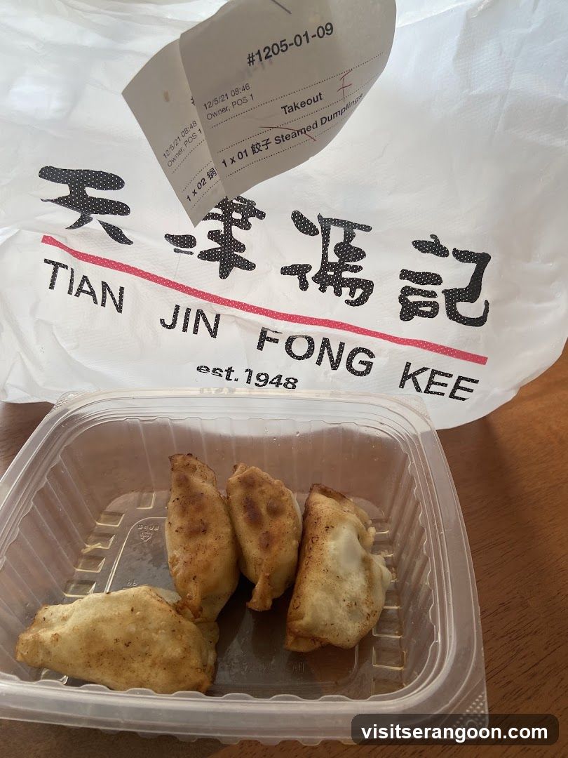 Takeout Bag and Dumplings
