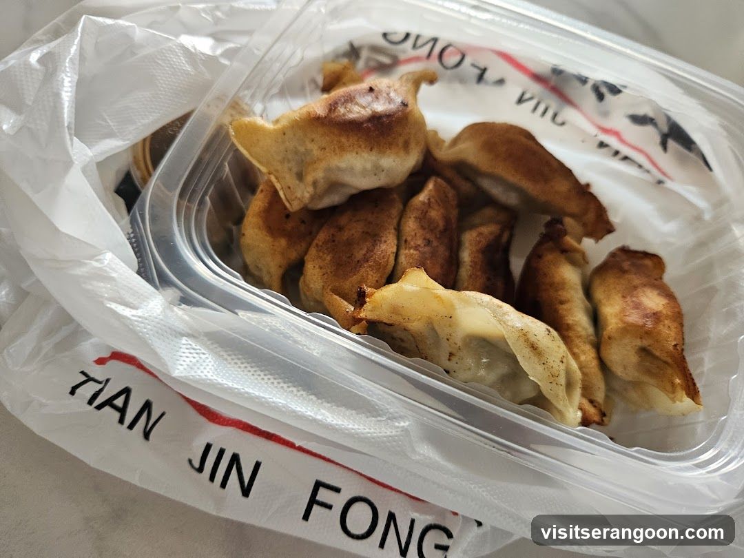 Fried Dumplings