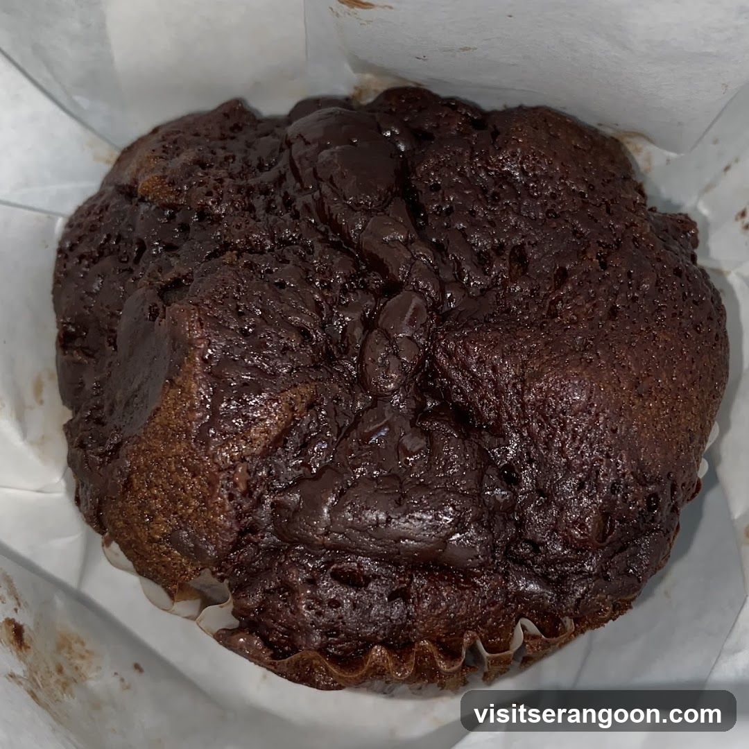 Chocolate Muffin