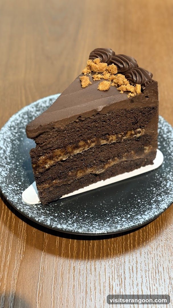 Chocolate Cake Slice
