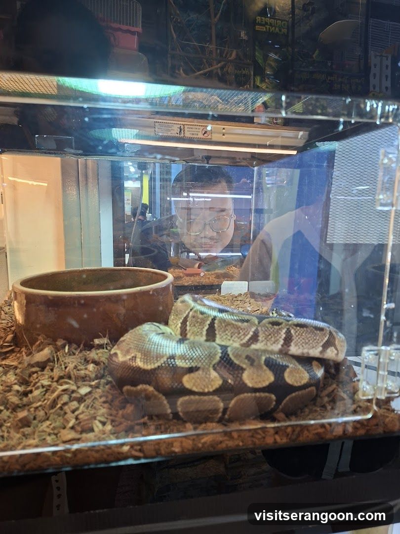 Reptile Den @ Ipoh Parade