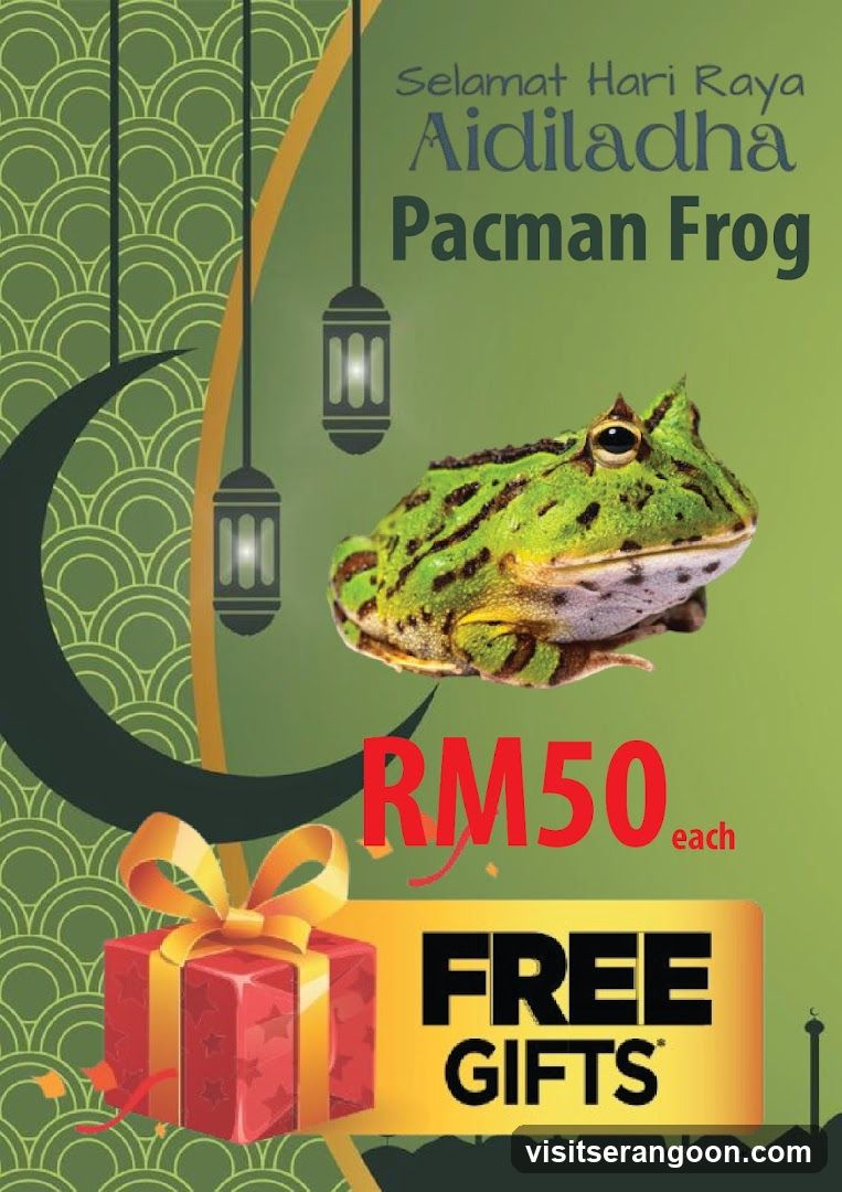 Selamat Hari Raya Aidiladha Pacman Frog Promotion