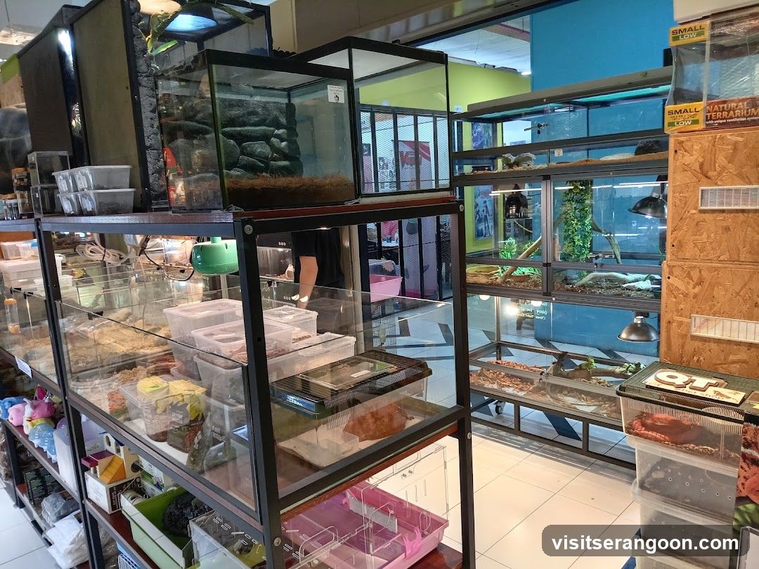 Pet Store with Reptile Enclosures