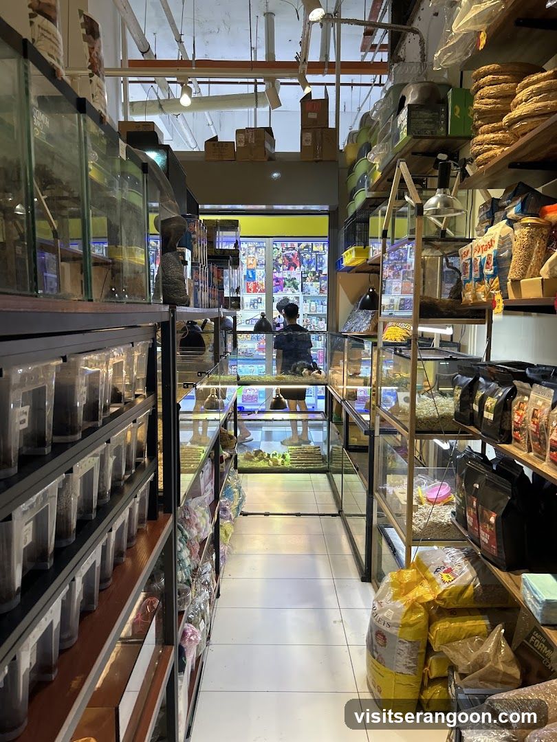 Pet Store Interior
