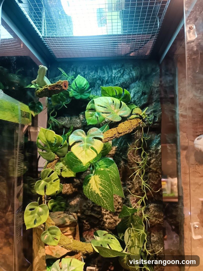 Terrarium with Lizard and Plants