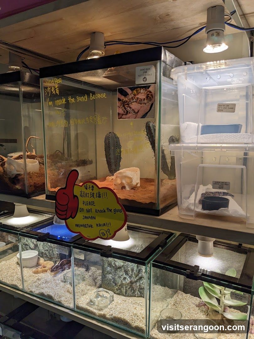 Reptile Enclosures