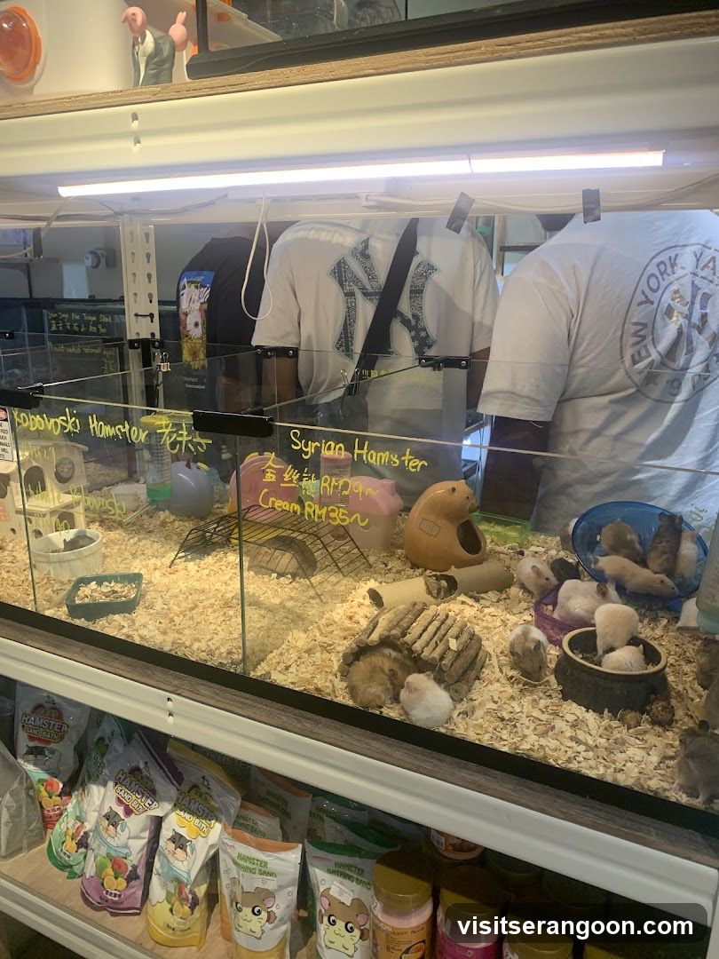 Hamster Enclosures and Supplies