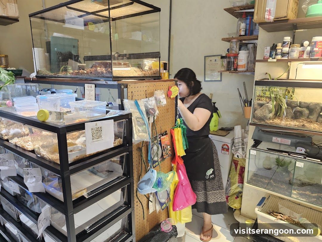 Pet store interior with woman
