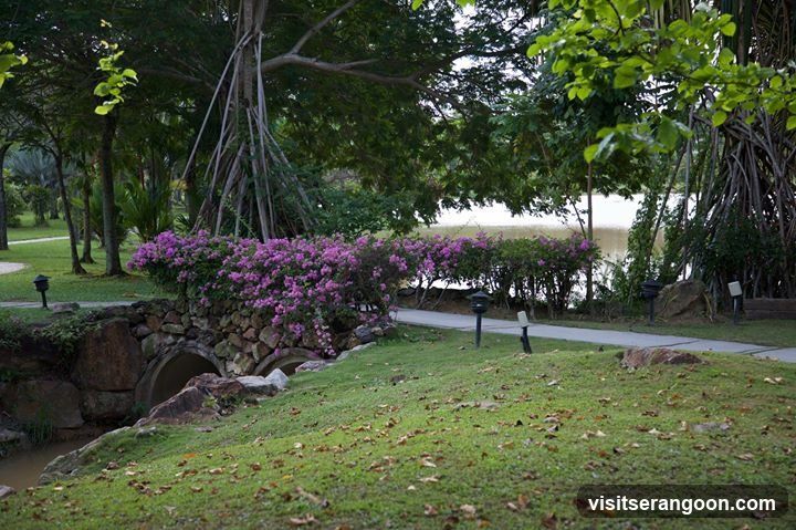 Park Pathway with Stone Bridge and Flowers