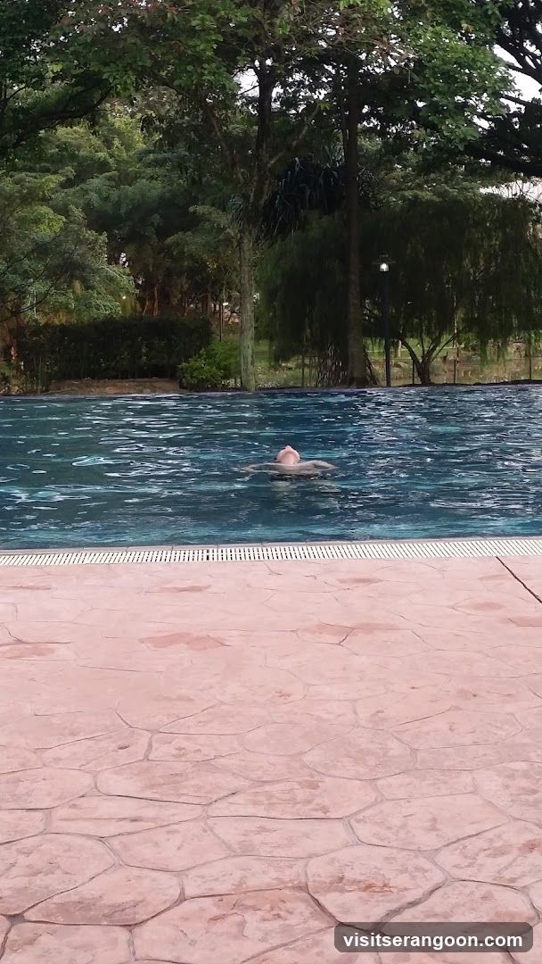 Person swimming in a pool