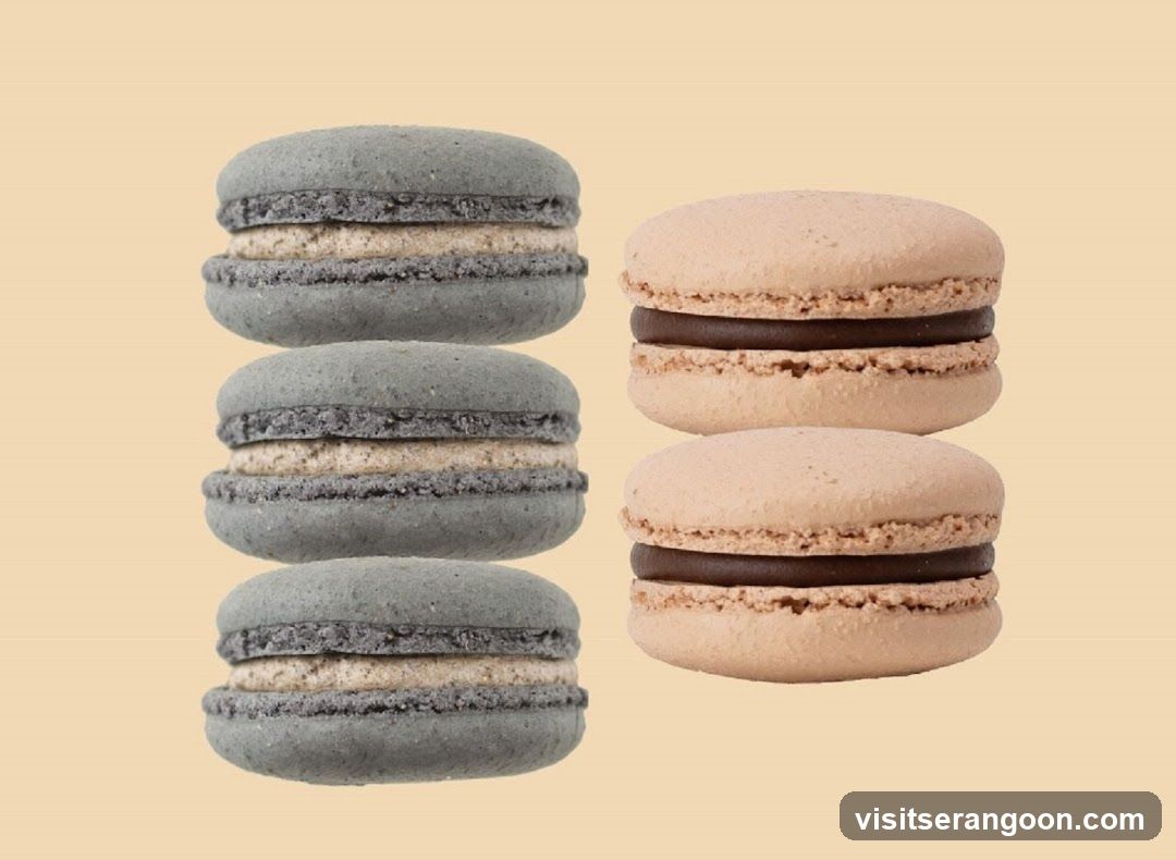 Macarons