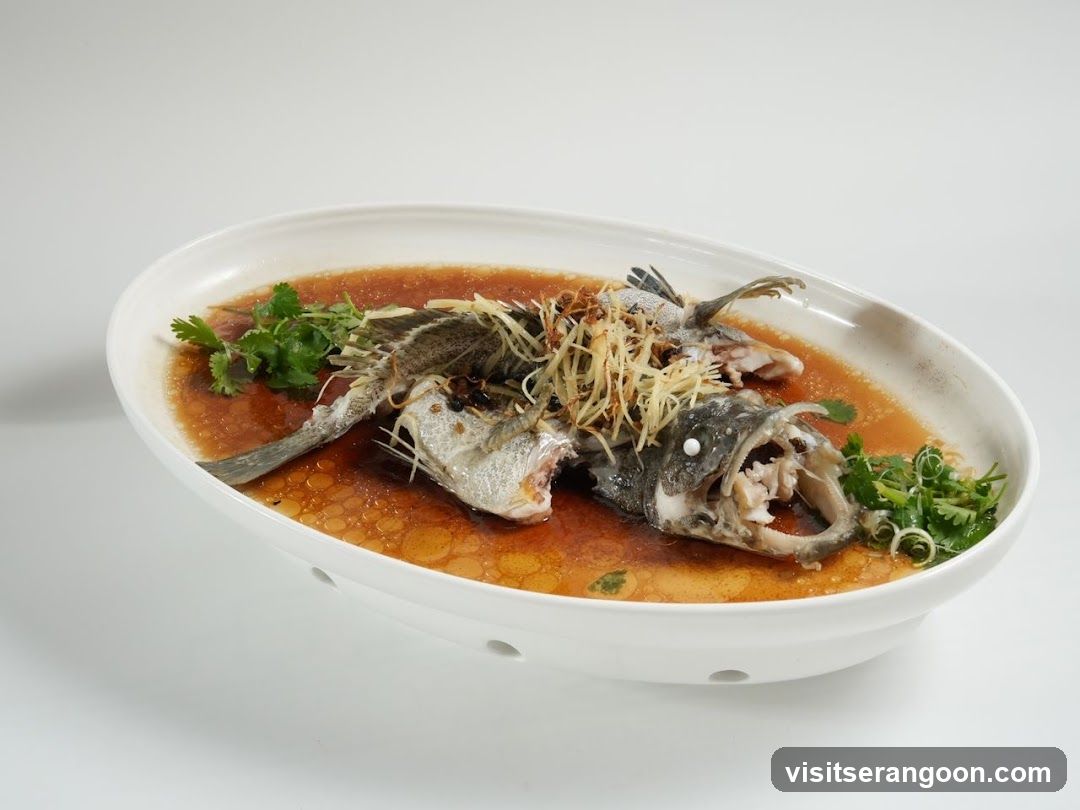 Steamed Fish Dish