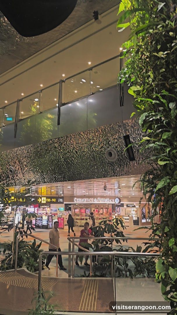 Airport Terminal Interior with Greenery