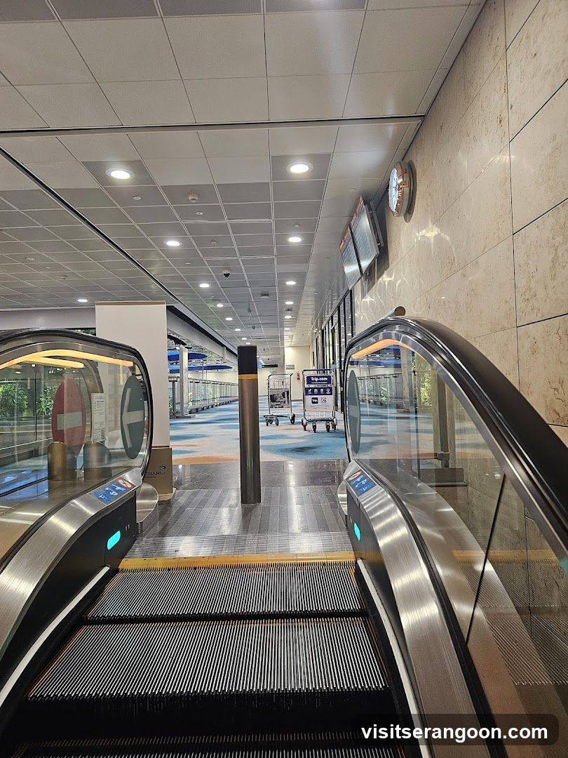 Airport Terminal Interior with Escalators