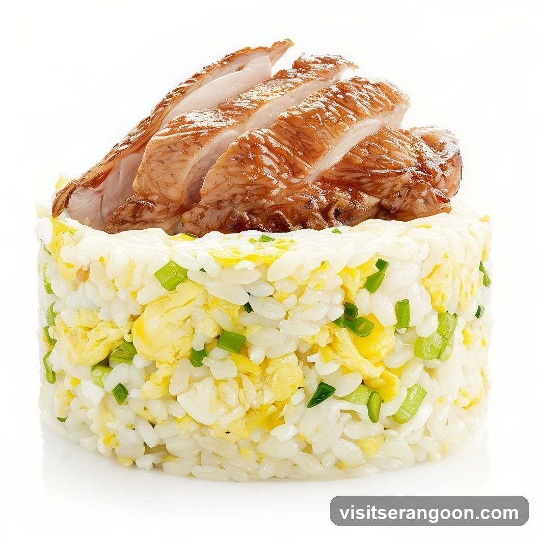 Sliced Roasted Chicken with Fried Rice