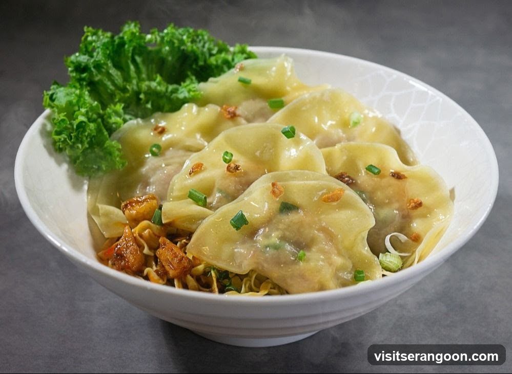 Steamed Dumplings with Noodles